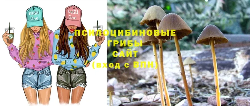 shop Telegram  Семикаракорск  Галлюциногенные грибы Cubensis  omg как войти 